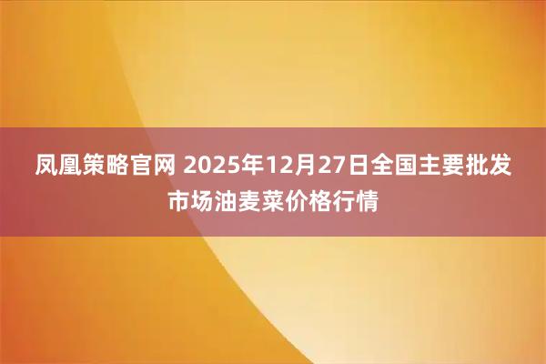 凤凰策略官网 2025年12月27日全国主要批发市场油麦菜价格行情
