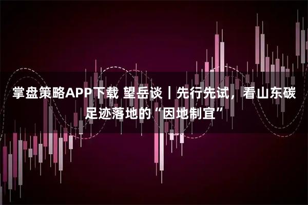 掌盘策略APP下载 望岳谈｜先行先试，看山东碳足迹落地的“因地制宜”