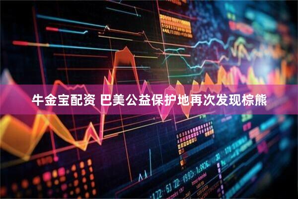 牛金宝配资 巴美公益保护地再次发现棕熊
